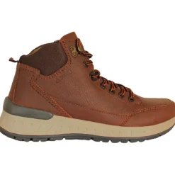 Dubarry Boots<Ankle Boots - Sammy - Brown
