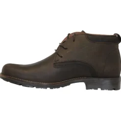 Dubarry Boots<Lace Up Boots- Shone - Brown