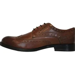 Dubarry Shoes<Mens Brogues - Delaware - Tan