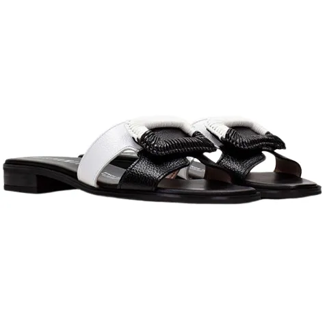 Hispanitas Sandals<Ladies Mules - HV253881 - Black